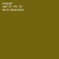 #73640F - Spicy Mustard Color Image